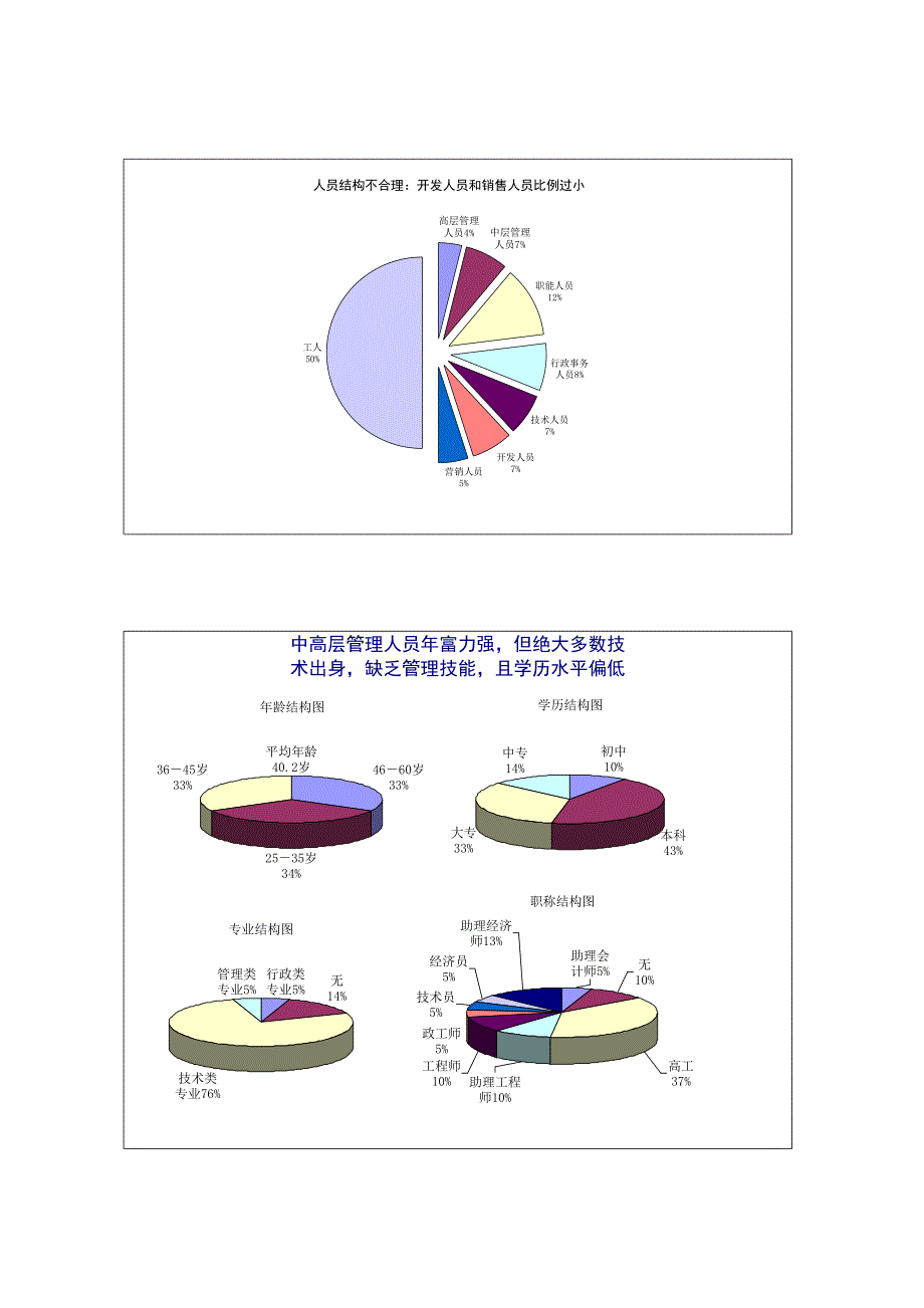 202X年人力资源管理诊断报告书_第3页