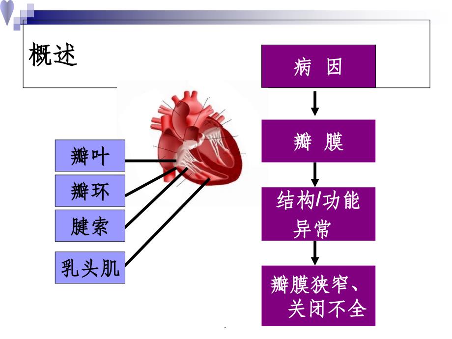 心脏瓣膜病精PPT课件_第2页