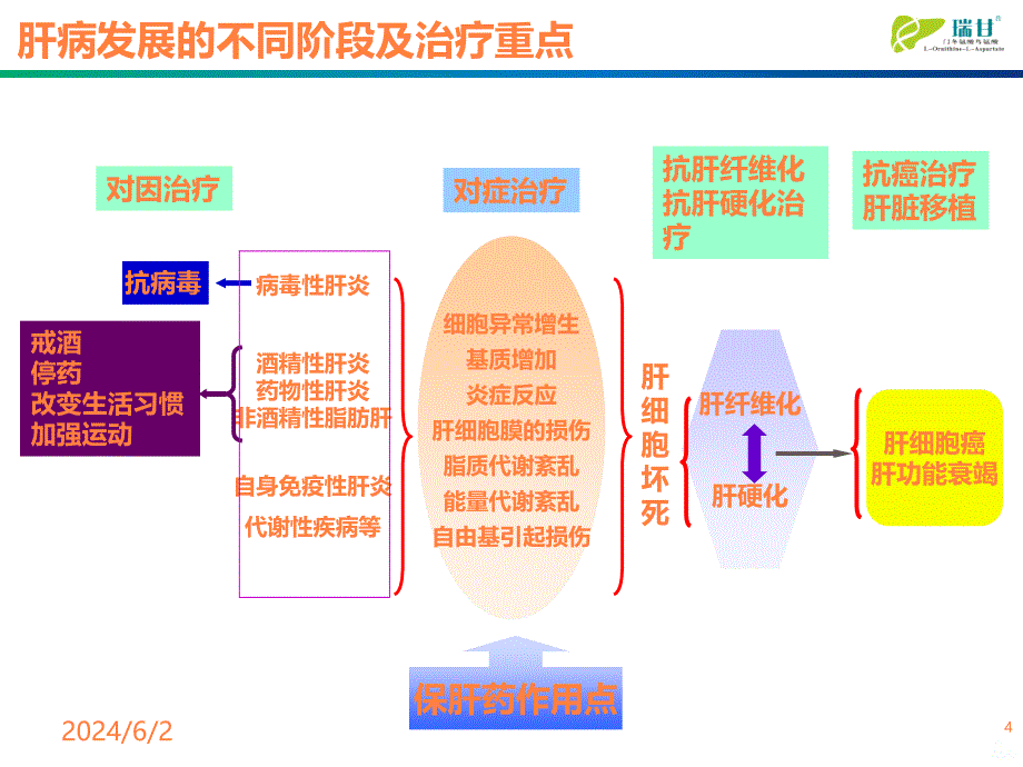 关注抗炎保肝治疗PPT课件_第4页