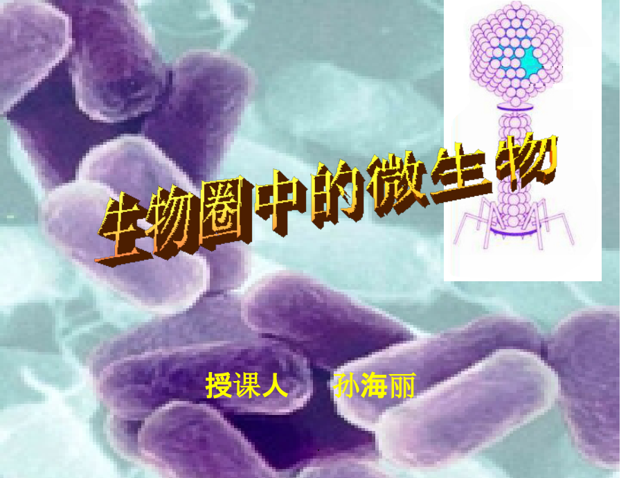 生物圈中的微生物ppt精选课件_第2页