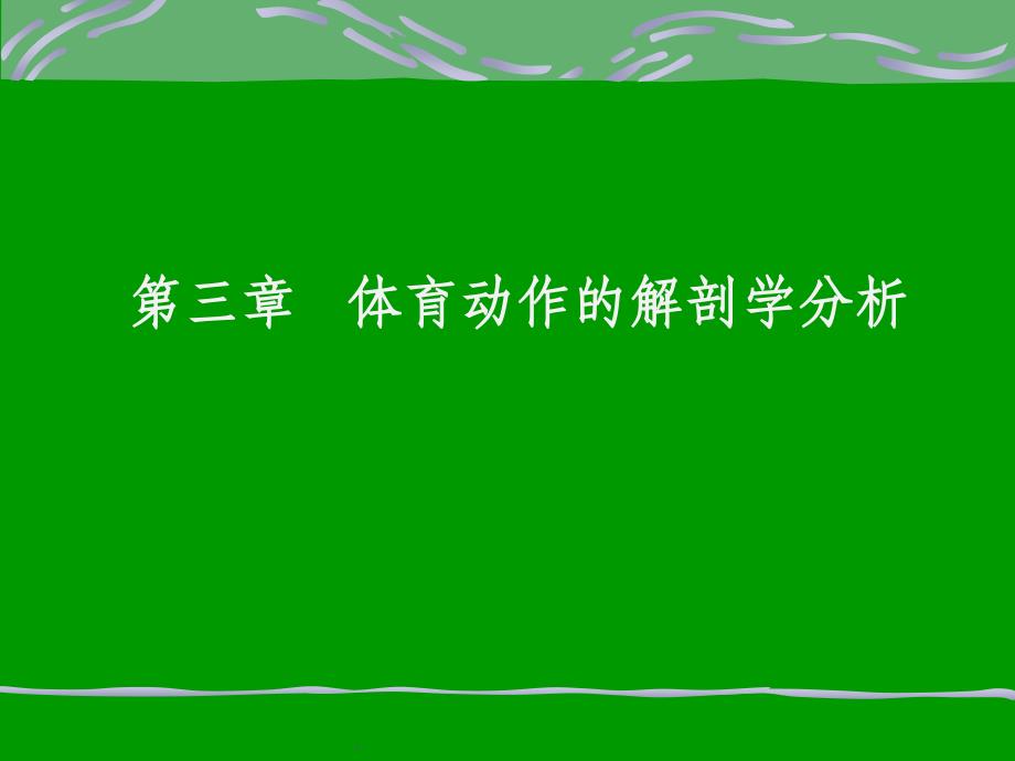 体育运动解剖学分析PPT课件_第1页