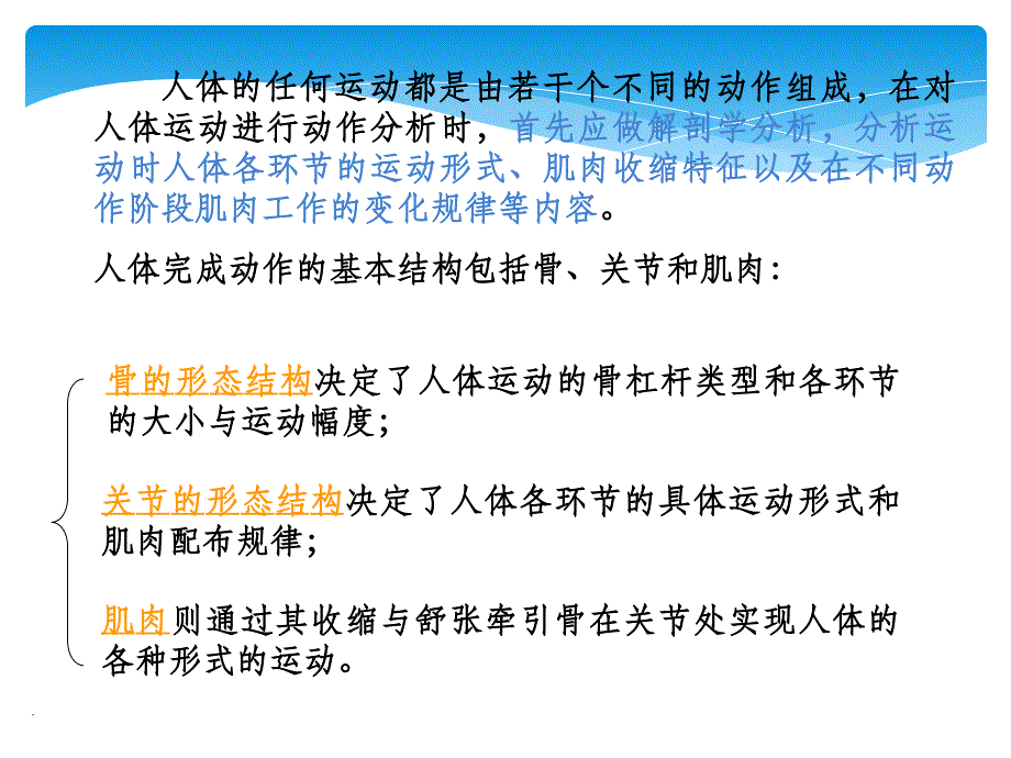 体育运动解剖学分析PPT课件_第2页