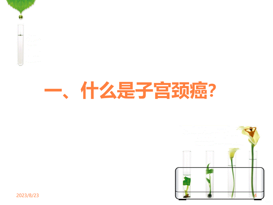 宫颈癌与hpv感染PPT课件_第4页