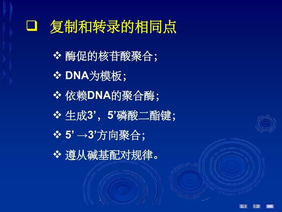 分子生物学-转录ppt精选课件_第5页