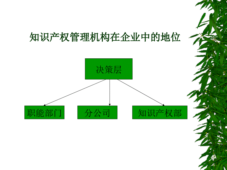 202X年企业知识产权管理讲义_第3页