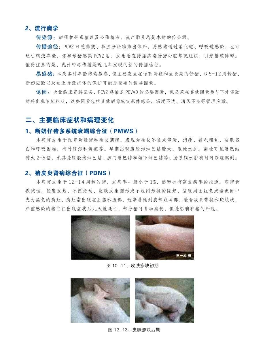 猪圆环病毒病的防控与治疗.pdf_第5页