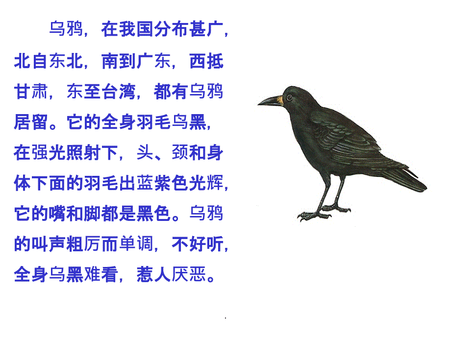 狐狸和乌鸦精ppt精选课件_第3页