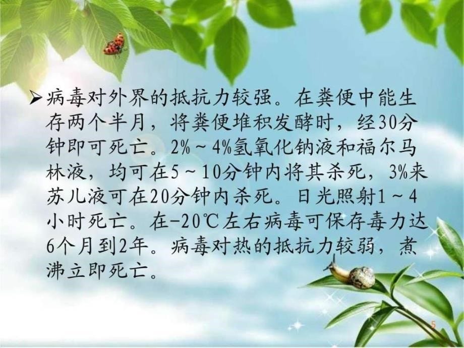 马传染性贫血课件PPT课件_第5页