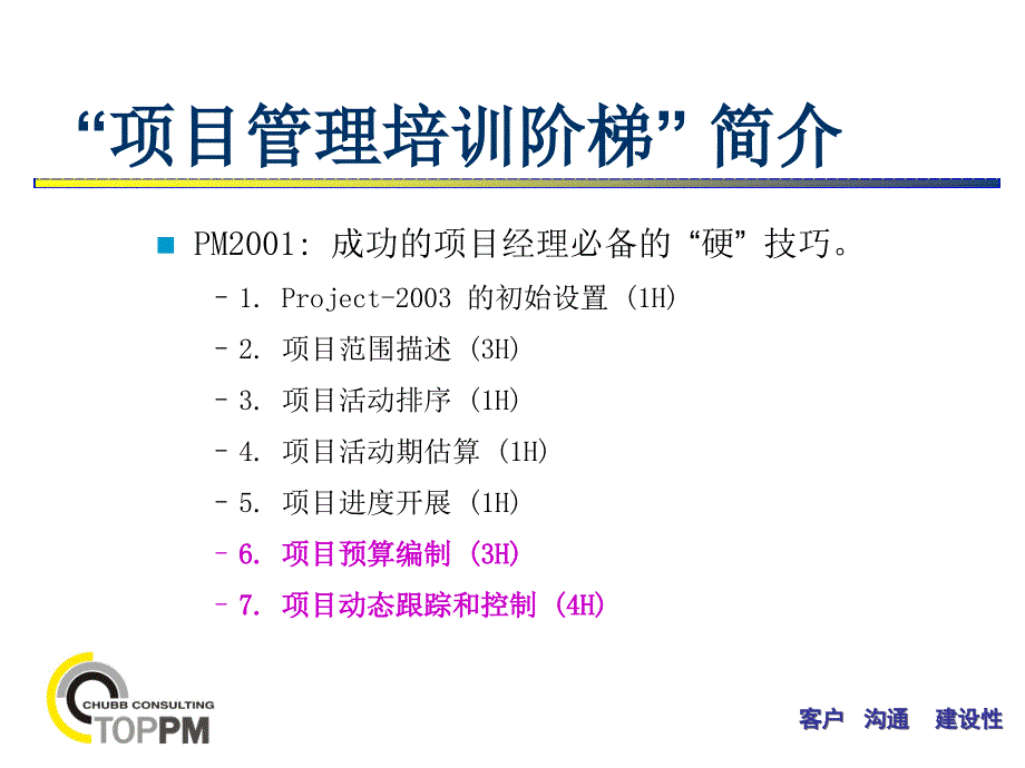 202X年成功的项目经理技巧分析_第4页