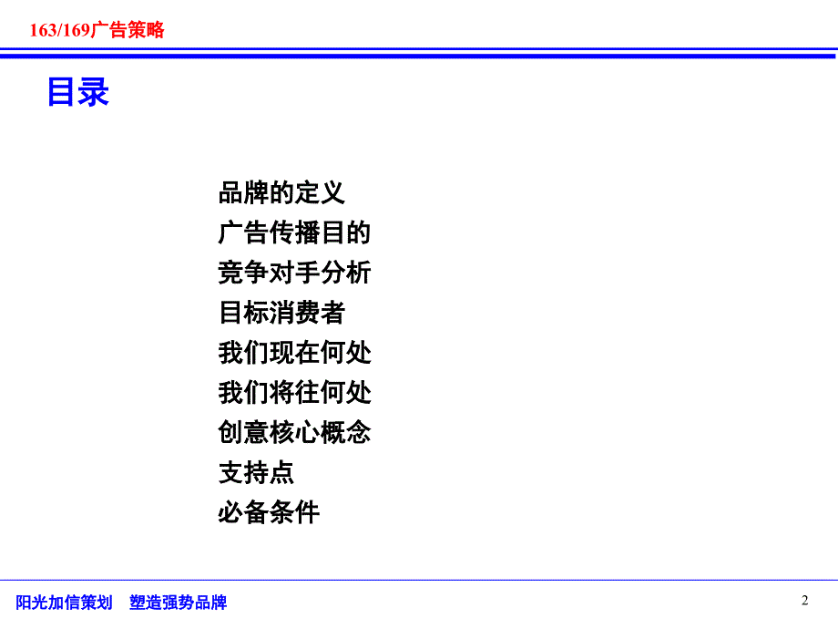 202X年某电信163、169拨号接入广告策略_第2页