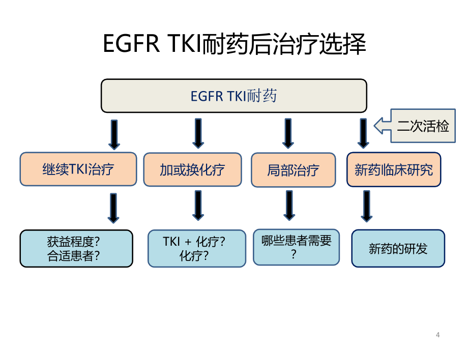 耐药后治疗策略研究进展ppt课件_第4页