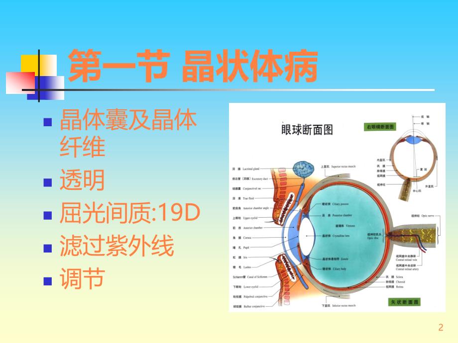 晶状体玻璃体病PPT课件_第2页