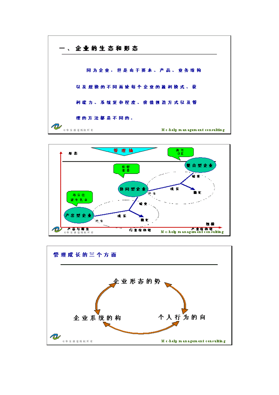 202X年中国企业管理不等级阶梯发展方法架构_第2页