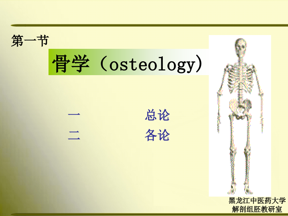 正常人体解剖学 第一节 骨学1.ppt_第3页