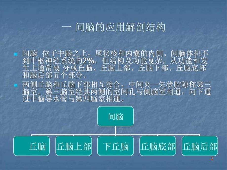 间脑病变的定位诊PPT课件_第2页