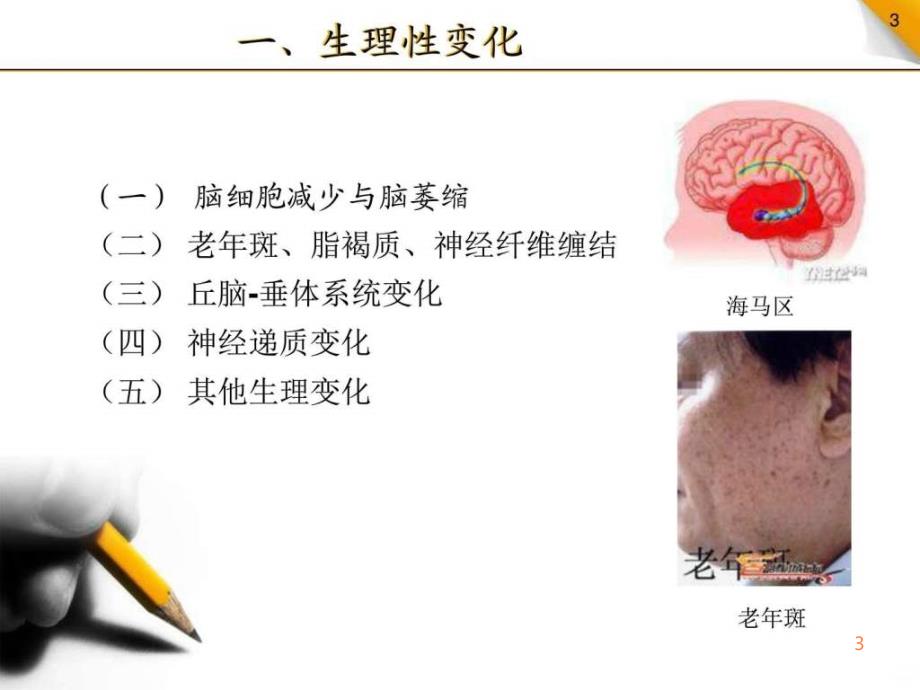 精编完整版第九节老年期精神病常见疾病病人的护理ppt课件_第3页