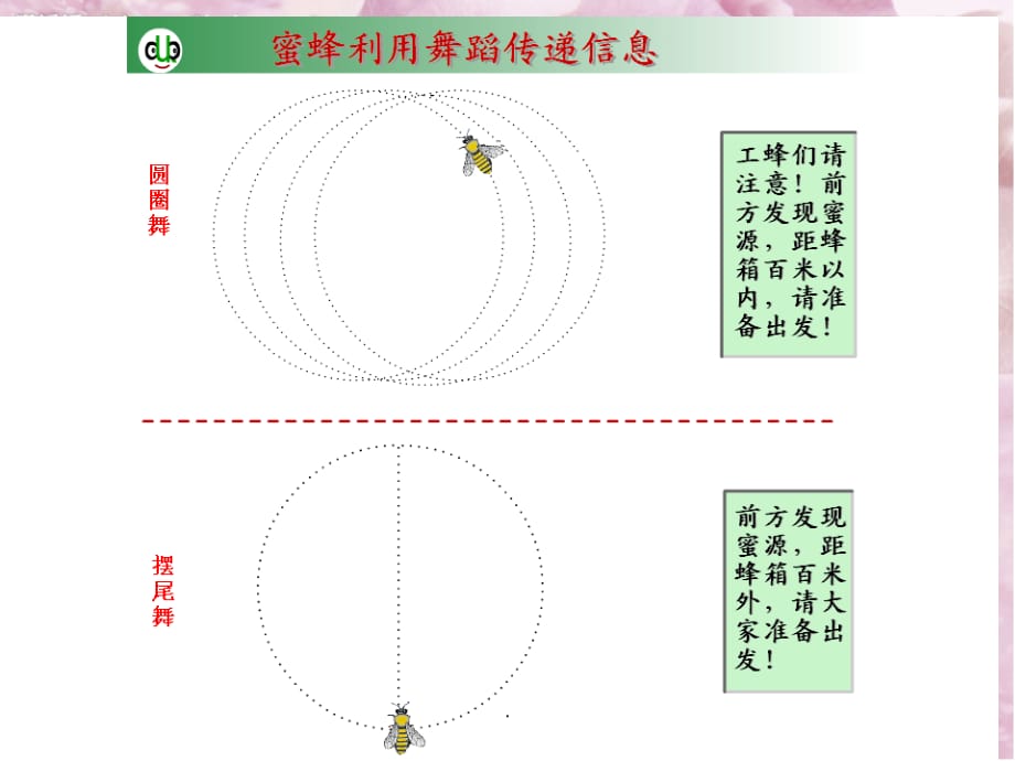 生态系统的信息传递91268ppt精选课件_第4页