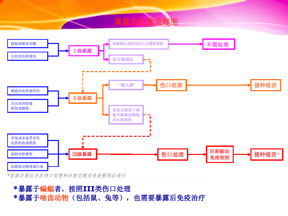 狂犬病暴露预防处置流程ppt课件_第2页