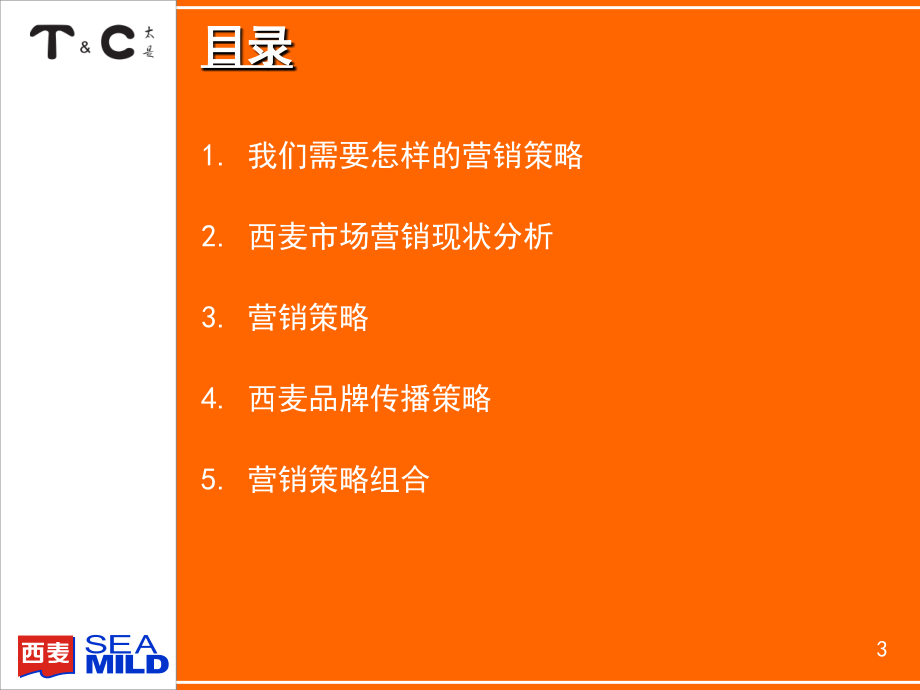 202X年某咨询项目营销策略建议_第3页