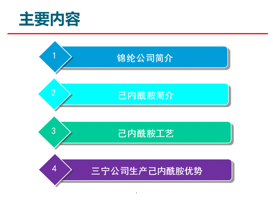 己内酰胺工艺(精简)ppt精选课件_第2页