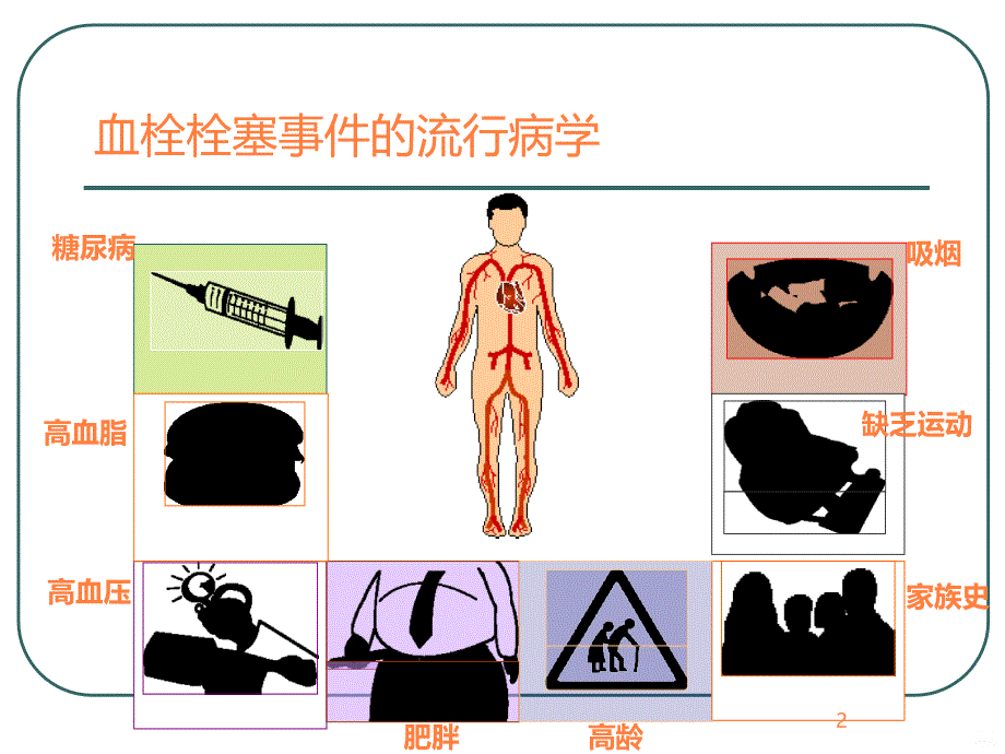 抗凝药物的发展（普通肝素 戊糖）ppt课件_第2页