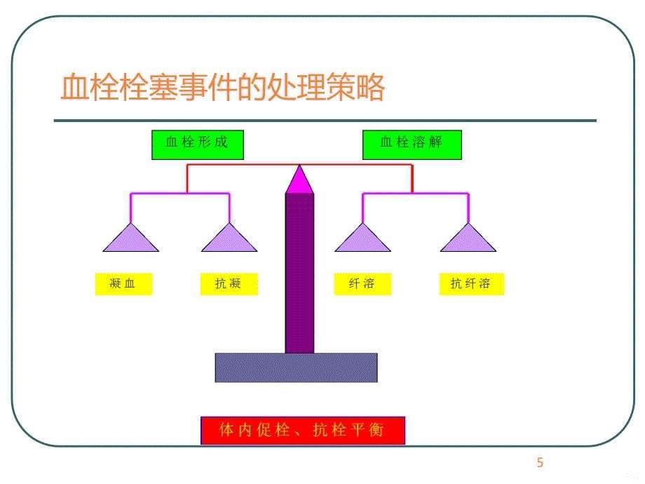 抗凝药物的发展（普通肝素 戊糖）ppt课件_第5页