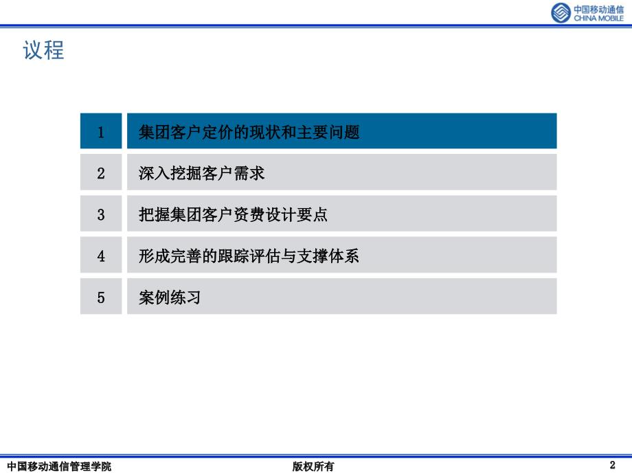 202X年《集团客户定价》_第2页