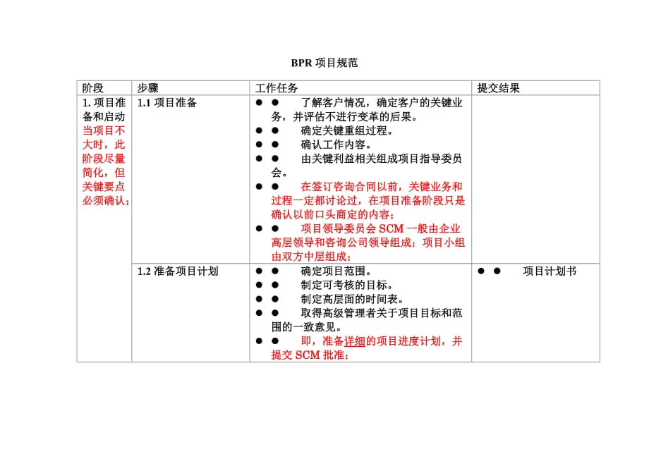 202X年BPR项目规范_第1页