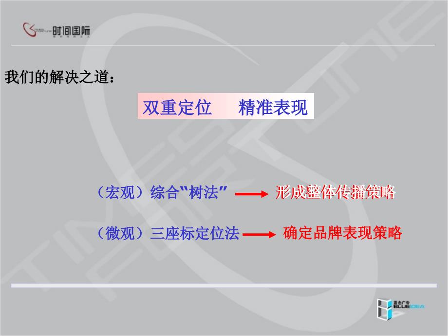 202X年国际品牌策略建议方案_第3页