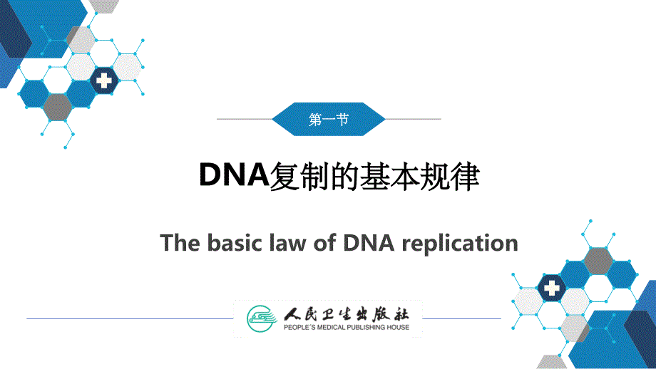 生物化学及分子生物学(人卫第九版)-12DNA合成ppt精选课件_第4页