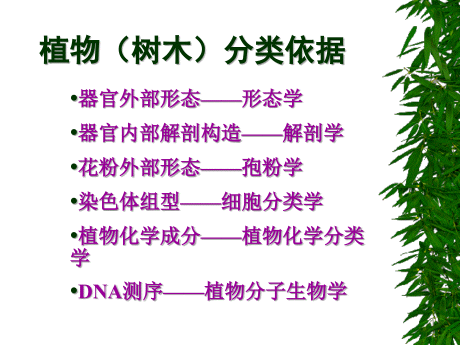 园林树木学分类植物分类法_第4页