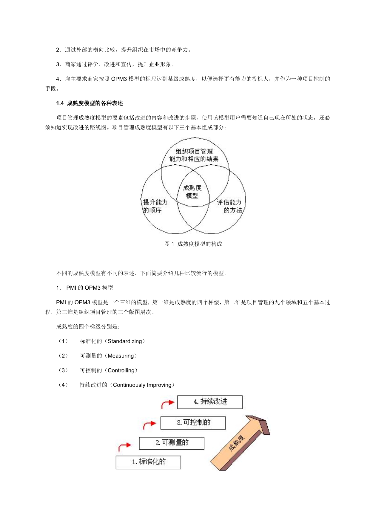 202X年项目管理成熟度模型_第2页