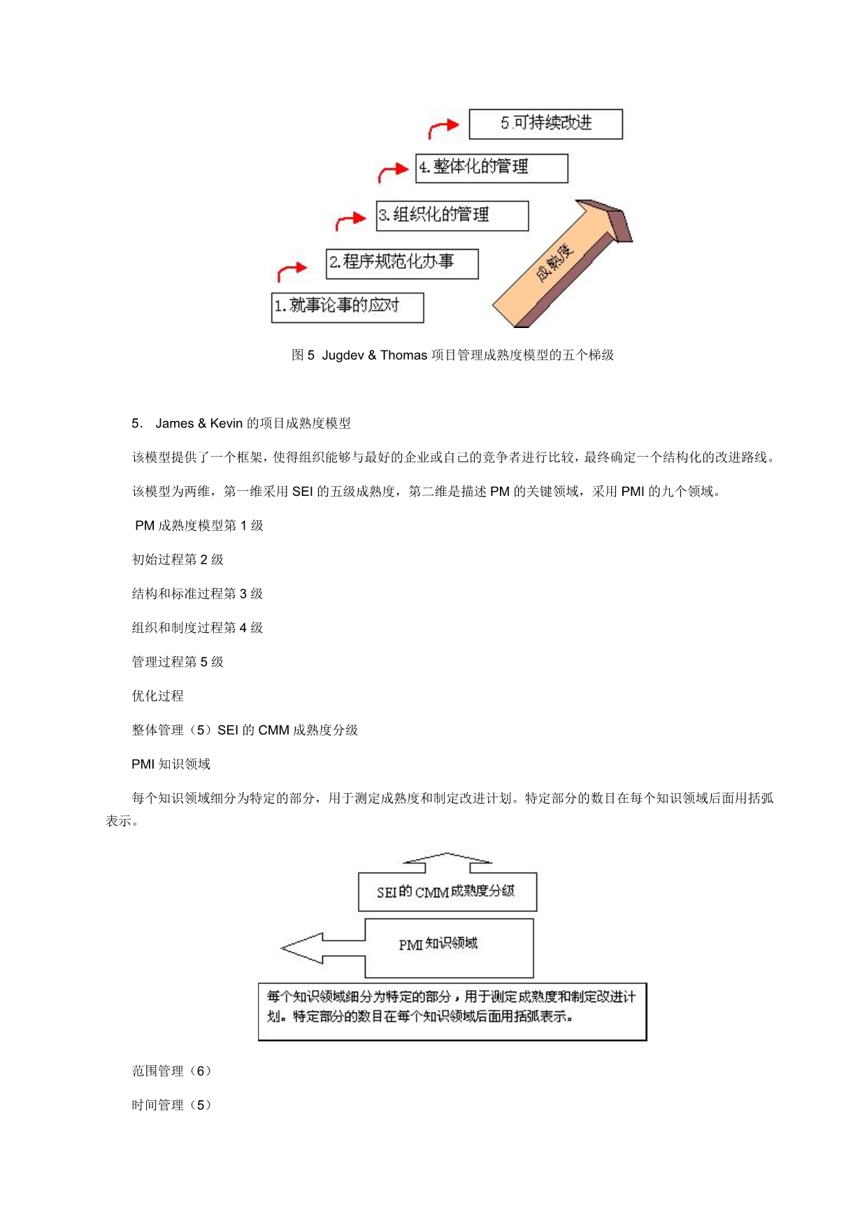 202X年项目管理成熟度模型_第5页