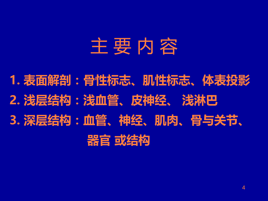 交大医学院局部解剖学ppt课件_第4页