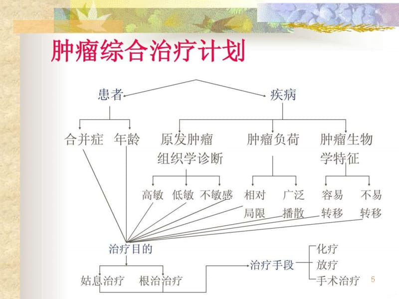 化疗副作用的防治PPT课件_第5页