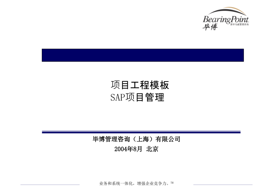 202X年项目工程模板及SAP项目管理_第1页