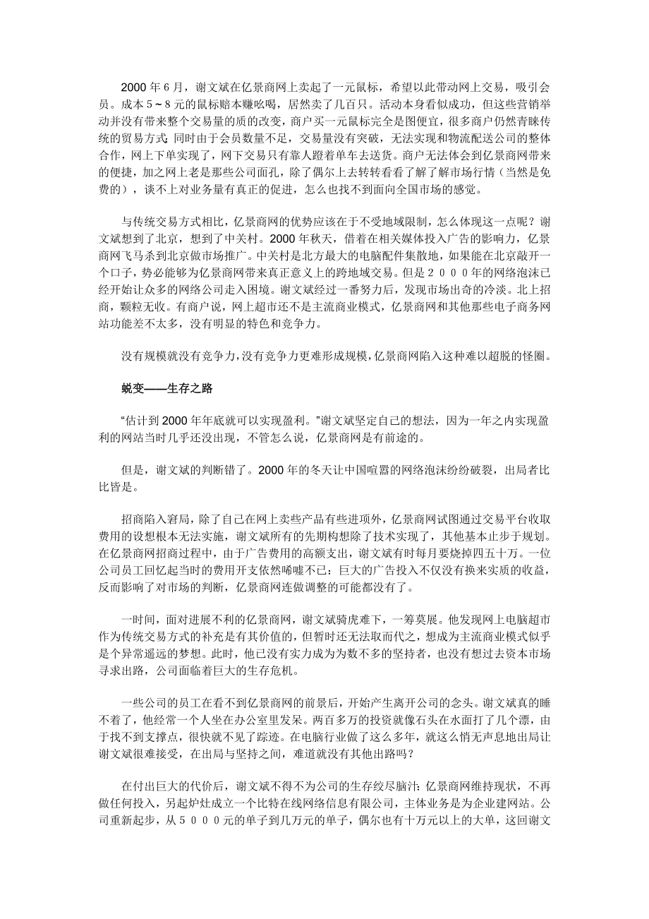 202X年亿景商网的前生今世_第3页