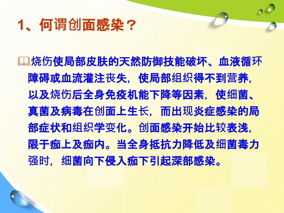 烧伤感染与抗生素使用ppt精选课件_第2页