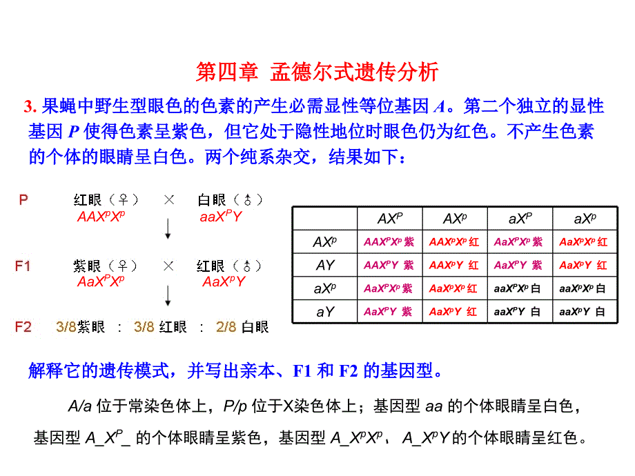 遗传学第二版课后答案(1~8章)教学教材_第3页