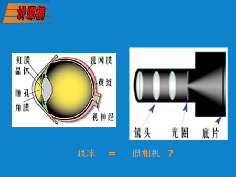 眼的解剖与生理(张1)(1)教学讲义_第3页