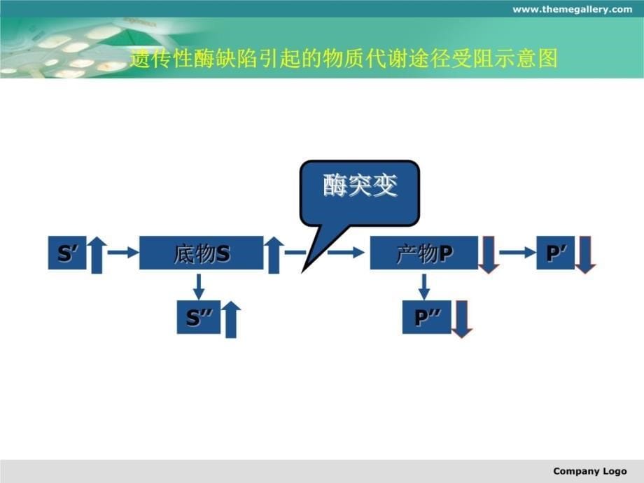 遗传性酶病培训讲学_第5页