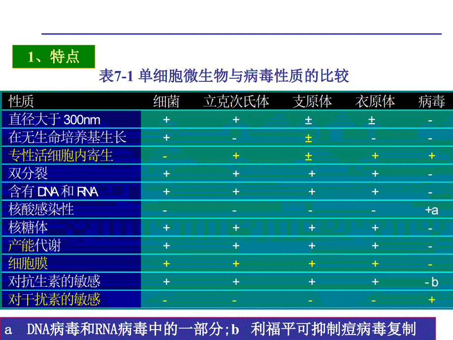 2019病毒[共77页]_第3页