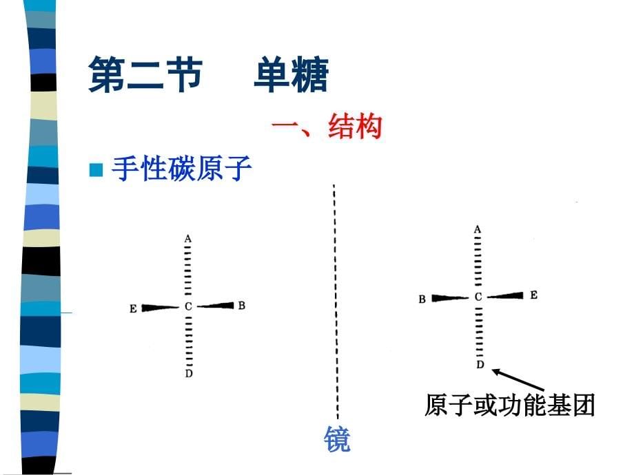 三、碳水化合物教学幻灯片_第5页