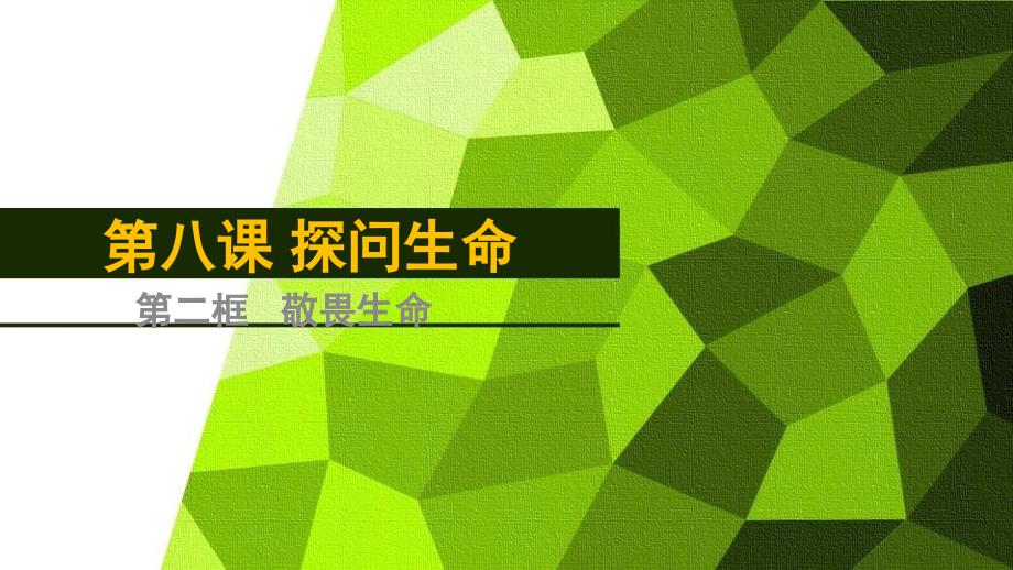 人教版《道德与法治》七年级上册8.2 敬畏生命 课件_第2页