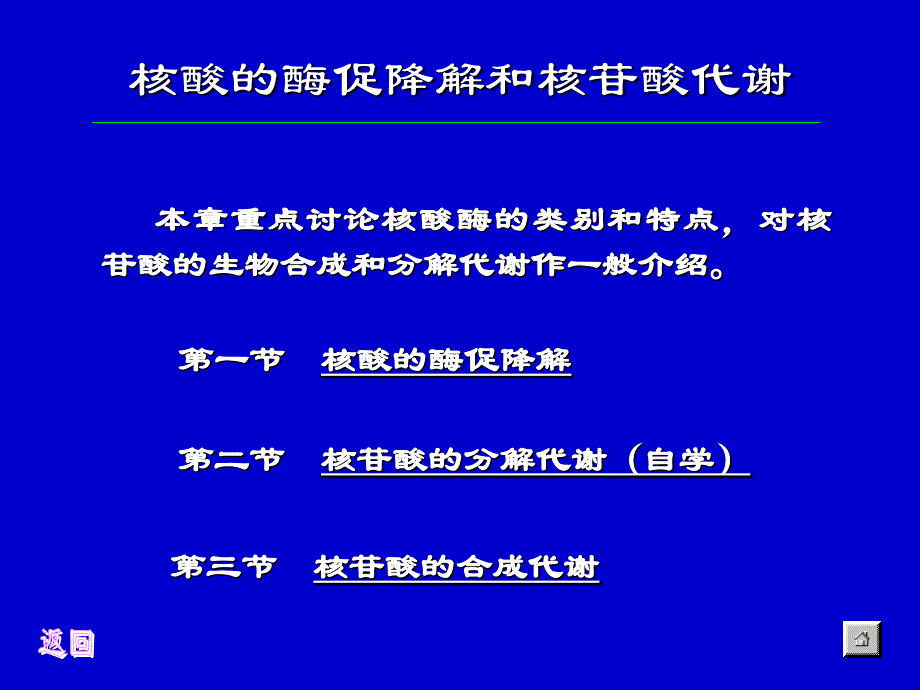 核酸的酶促降解和核苷酸代谢(1)ppt课件_第1页