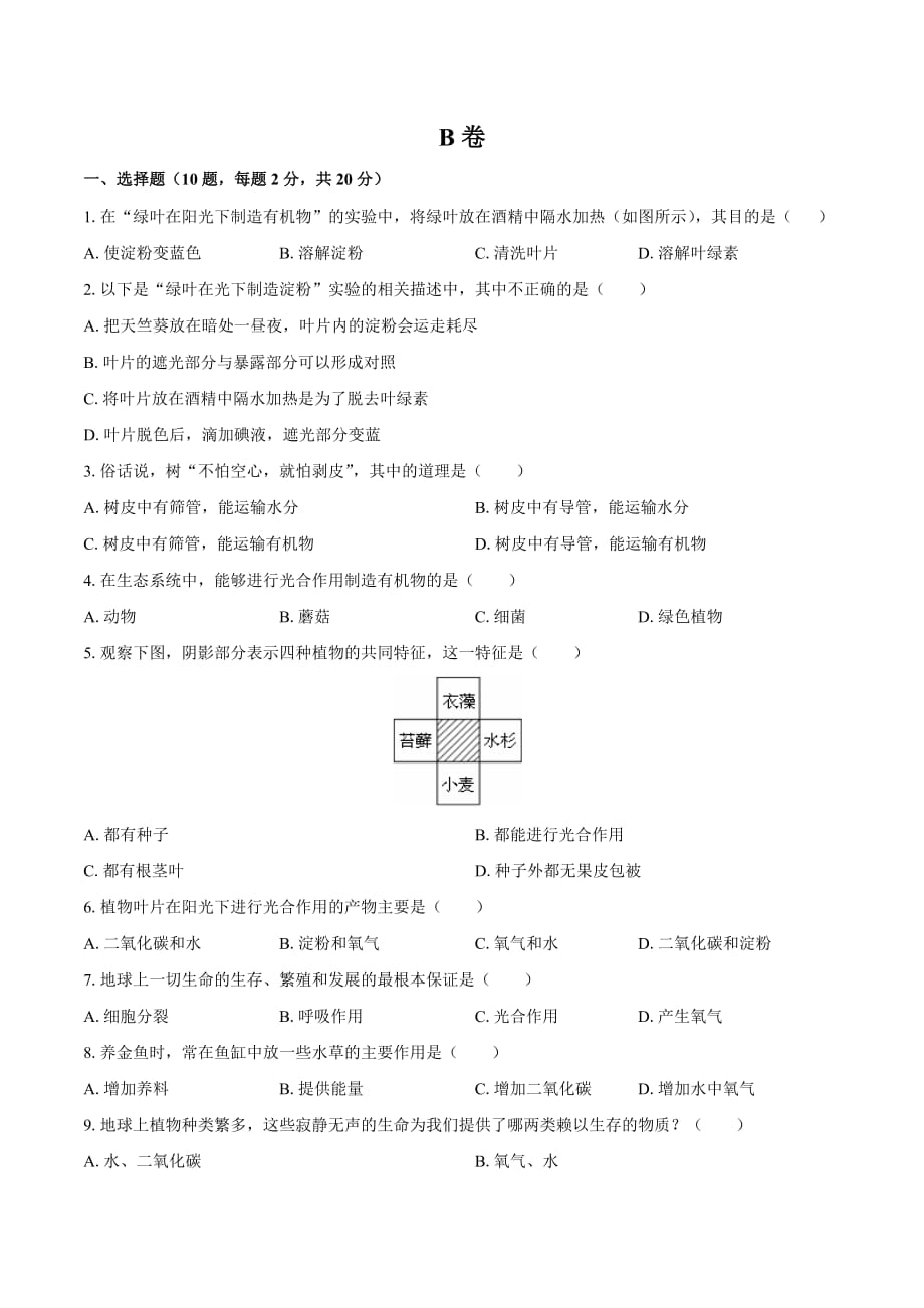 人教版七年级生物上册 第三单元第四章《绿色植物是生物圈中有机物的制造者》测试卷03含答案_第3页