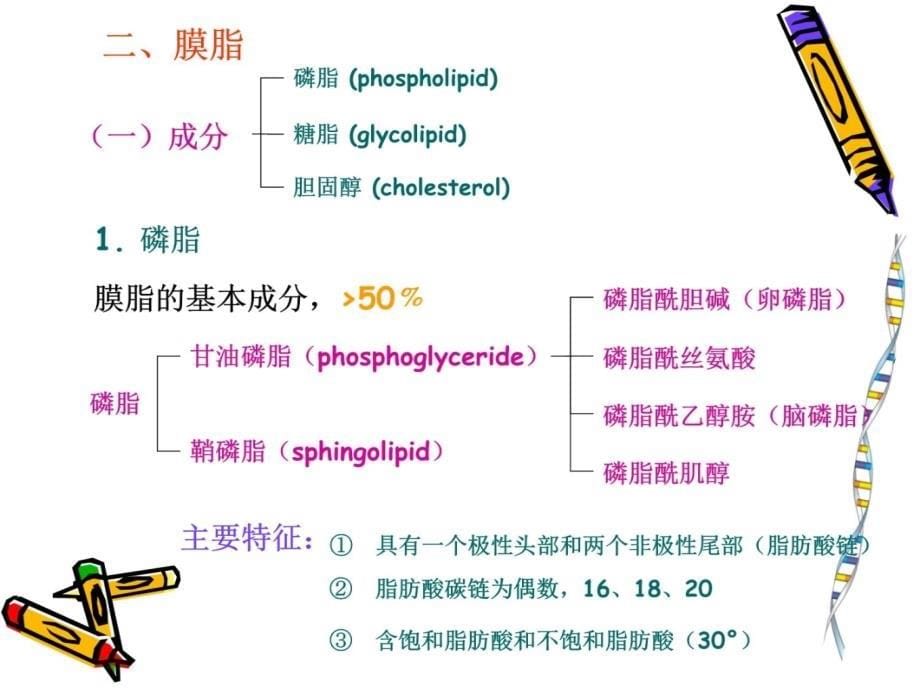 细胞生物学4资料教程_第5页