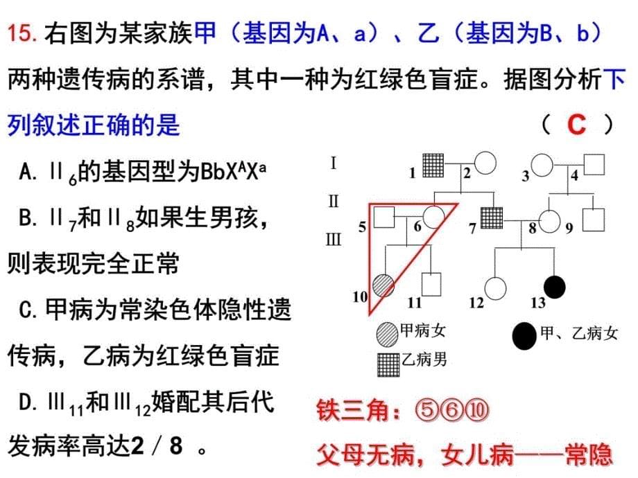 遗传计算题常见题型教程教案_第5页