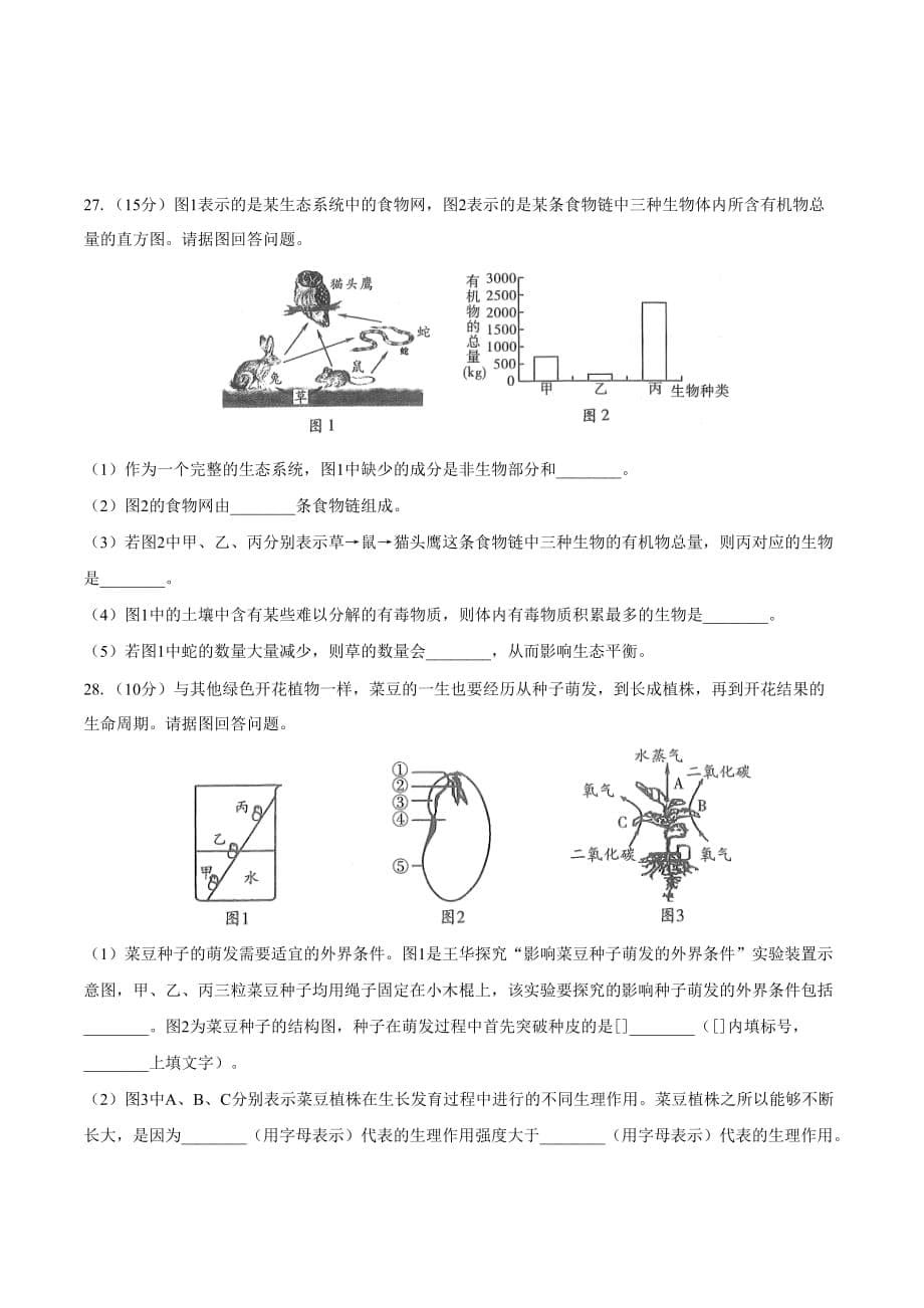 人教版七年级生物上册 期末测试卷01含答案_第5页