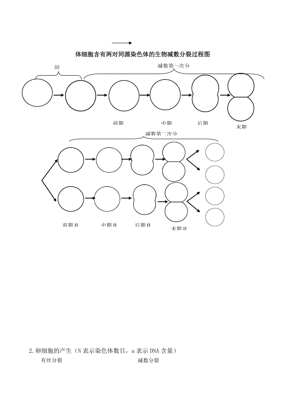 高中生物：2-3 染色体与遗传（减数分裂） 学案浙科版必修2.doc_第3页